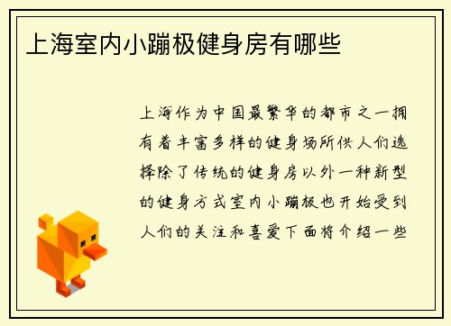 上海室内小蹦极健身房有哪些