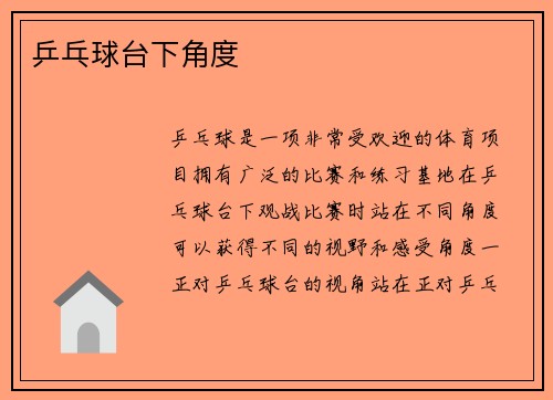 乒乓球台下角度