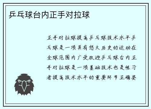 乒乓球台内正手对拉球