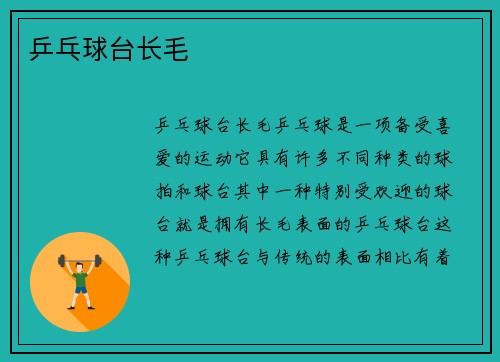 乒乓球台长毛