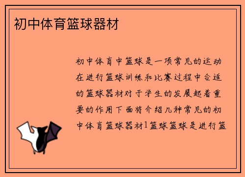 初中体育篮球器材